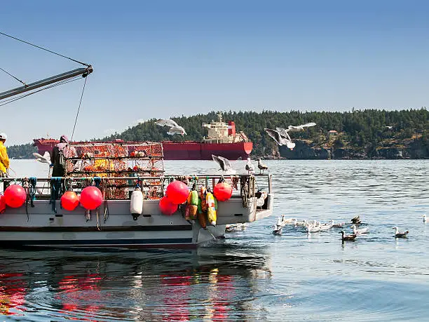 A crab boat with crabbers and traps working the ocean in Southern British Columbia.