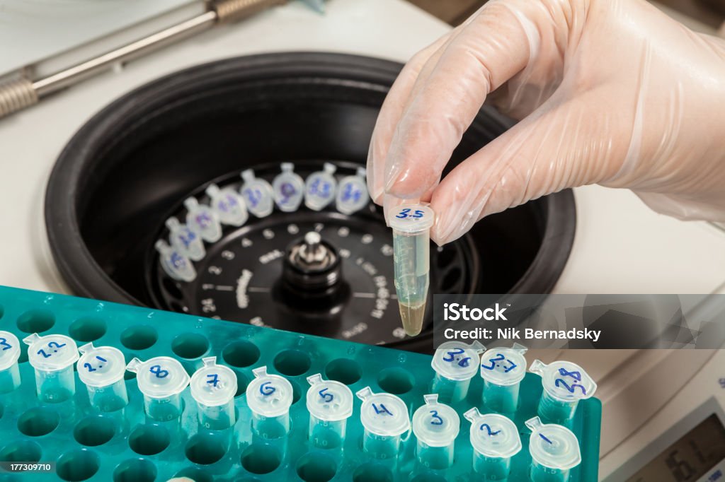 Loading a sample to centrifuge Charging a centrifuge with samples. Gloved hand holds an Eppendorf test-tube with a sampled muscular tissue. A part of DNA extraction procedure Separating Laboratory Stock Photo