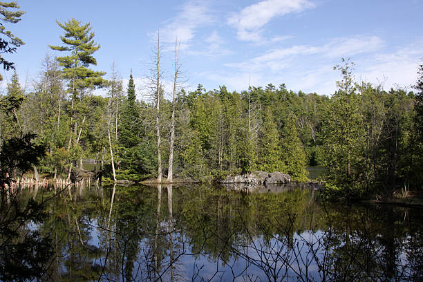 istock Rockwood Conservation Area 177310172