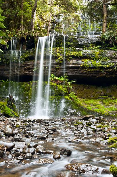 istock Russell Falls, Mount Field National Park 177310366