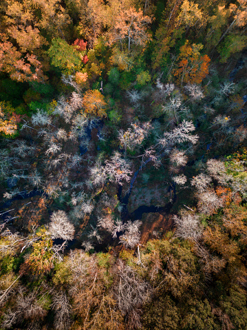 Autumn Creek - Fall Colors\nGreenville North Carolina
