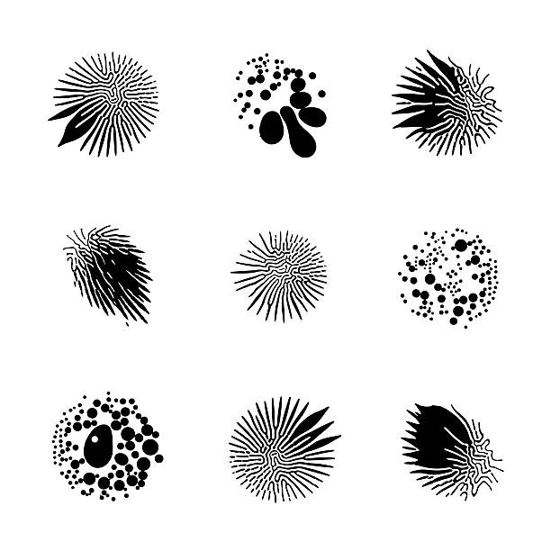 ferrofluid patrones - ferrofluid fotografías e imágenes de stock