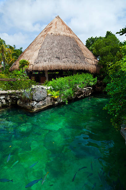 istock Heavenly lagoon in the Mayan Riviera 177312369