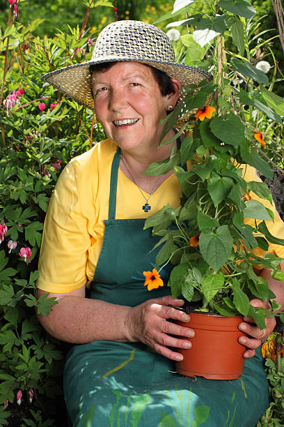 istock Senior woman gardener 177312753