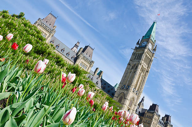 istock Ottawa Parliament Building and Tulips 177313830
