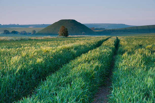 Silbury Hill Silbury Hill near Avebury and Stonehenge in Wiltshire. burial mound photos stock pictures, royalty-free photos & images