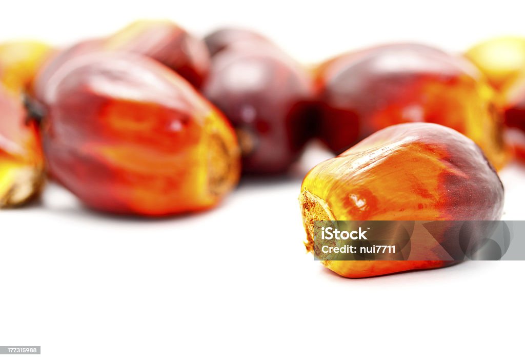 Palma de aceite frutas - Foto de stock de Aceite para cocinar libre de derechos