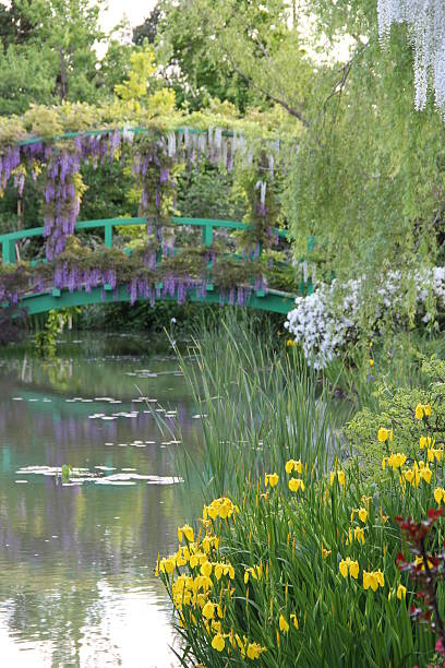 istock The park where a flower blooms 177316020