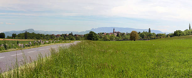 istock Panoramic of a meadow along the road 177316107