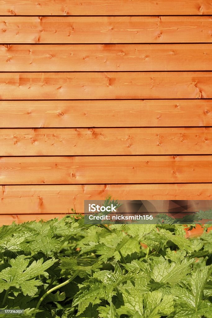 Wooden Shed, green plant in forground A green Bush plant in forground and a wooden garden shed in background. Backgrounds Stock Photo