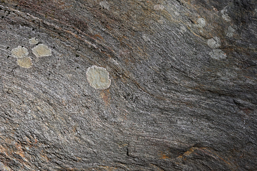 Close-up of layers in large gneiss boulder located in Connecticut (with a few lichen rosettes). Gneiss is a metamorphic rock that can resemble granite (an igneous rock). This specimen could be more than 1 billion years old.
