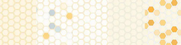 Vector illustration of Set of seamless backgrounds in the form of beehives. Honeycombs