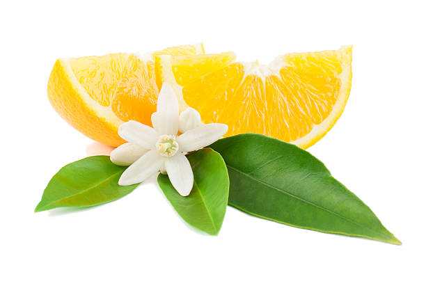istock Orange with a flower and leaves 177316845