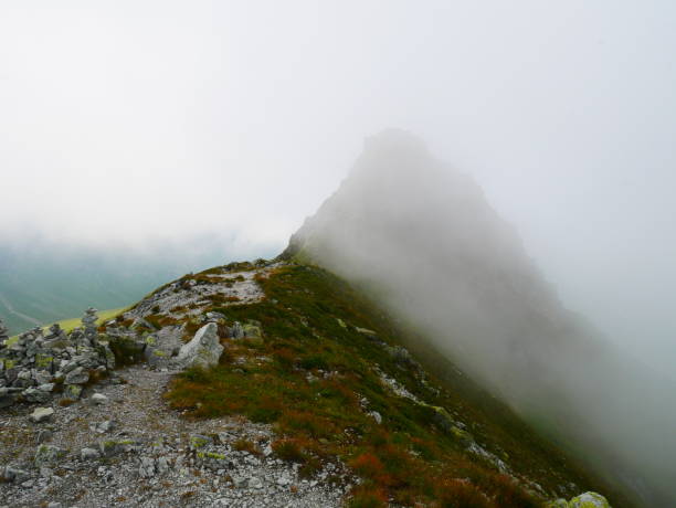 View on jagged mountain of Zillertal alps on a foggy summer day View on jagged mountain of Zillertal alps on a foggy summer day.  Zillertal alps/Zillertaler alpen, Austria. zillertaler alps stock pictures, royalty-free photos & images