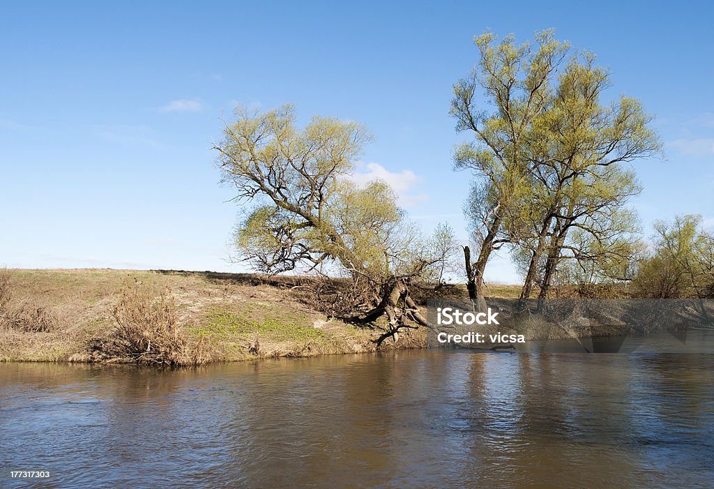 Contryside riverbank "Contryside river in spring time, sunny day" Blue Stock Photo