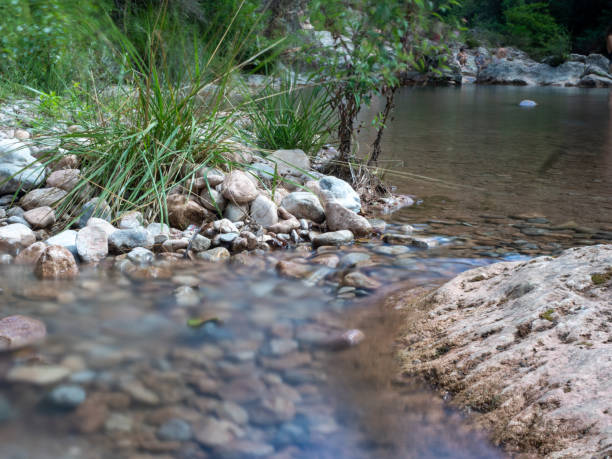 Nature in Andorra