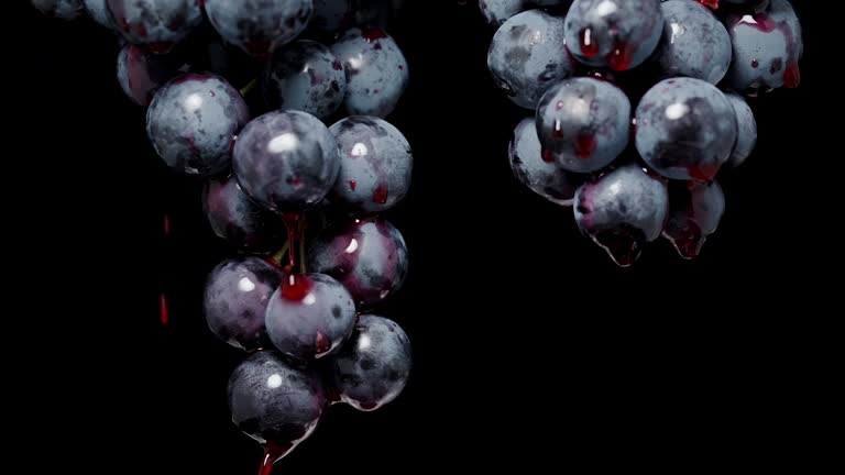 Close-up of hanging clusters of black grapes on an isolated background, with red juice dripping down, in slow motion, close-up.