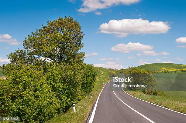 Strade Toscana - Fotografie stock e altre immagini di Agricoltura - Agricoltura, Albero, Ambientazione esterna