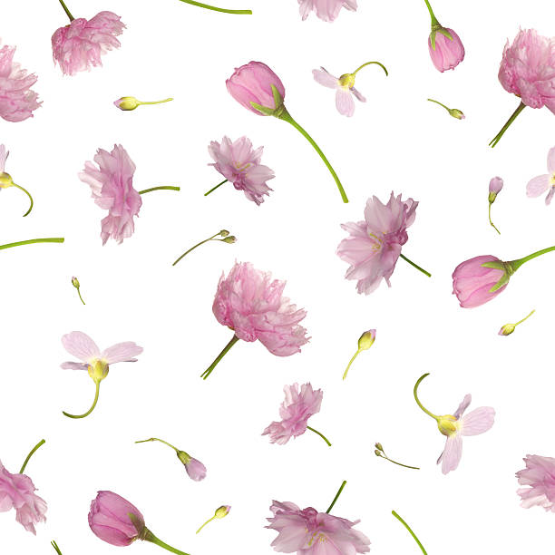 istock Seamless flying flowers in pink 177318398