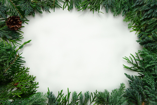 Christmas green framework isolated on white background. Pine, cypress, thuja branches. New year mock up. Copy space.