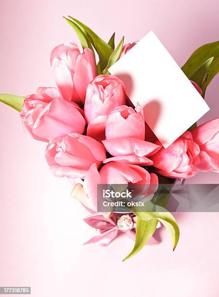 ピンクのチューリップ - お祝いのストックフォトや画像を多数ご用意 - お祝い, ちょう結び, グリーティングカード