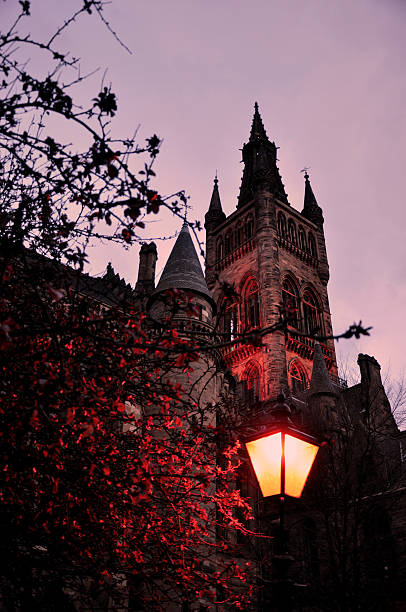 istock Streetlight at twilight on castle with red tree. 177318986