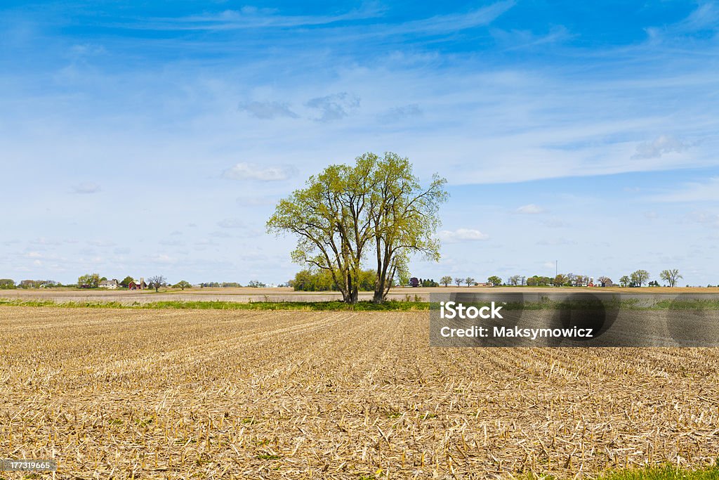 Die amerikanische Country - Lizenzfrei Agrarbetrieb Stock-Foto
