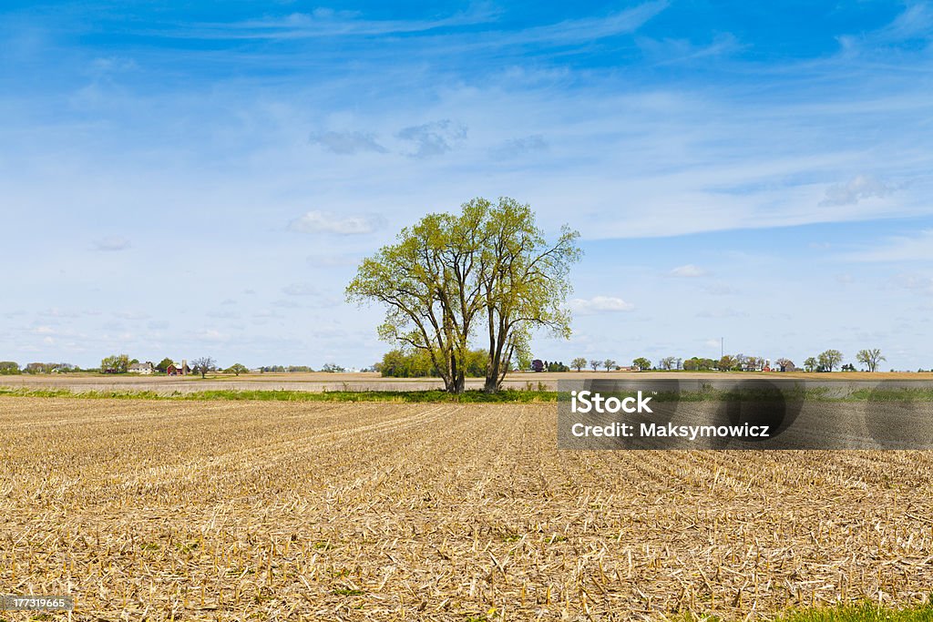 Paese americano - Foto stock royalty-free di Agricoltura