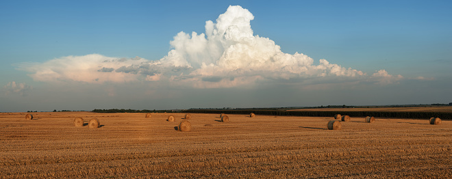 Close-up of a perfectly formed hay ball lying in stubble field in front of a fresh green grown field with hills in the background and distance fog,horizontal