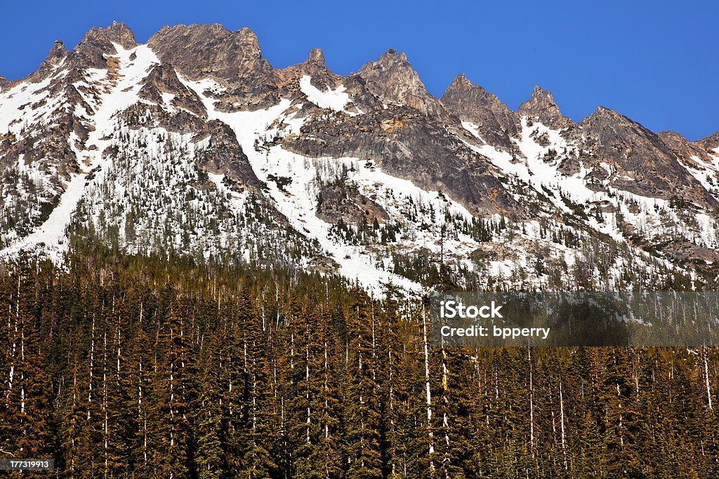 Snowy Känguru Ridge Washington Pass Sommer North Cascades National Park - Lizenzfrei Baum Stock-Foto