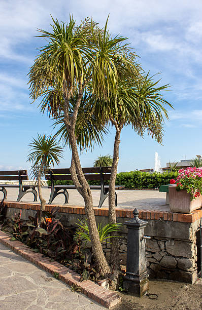 Ceriale fountain with benches and flowering plants