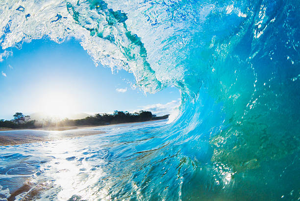 Curling wave in ocean by beach stock photo