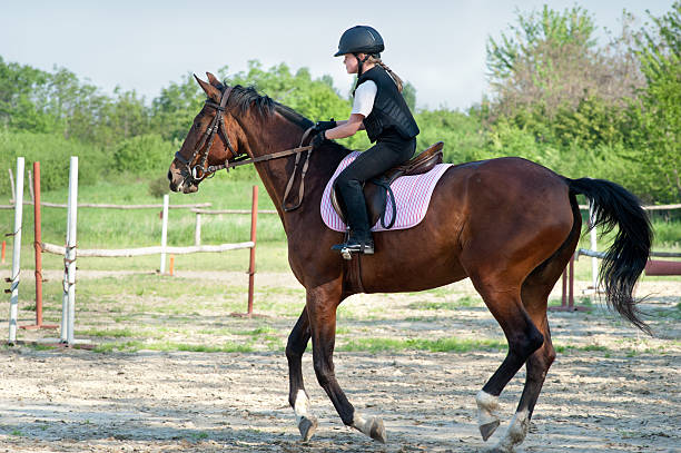 istock girl riding a horse 177320561