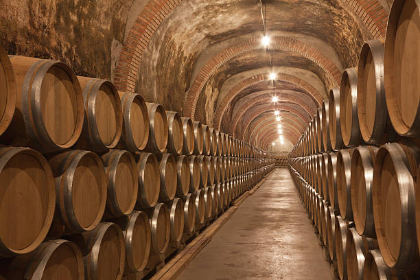 Tonneaux de vin dans la cave à vin - Photo