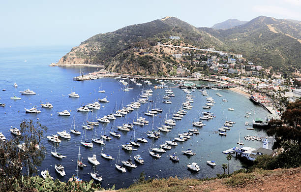 istock Santa Catalina Island 177321160