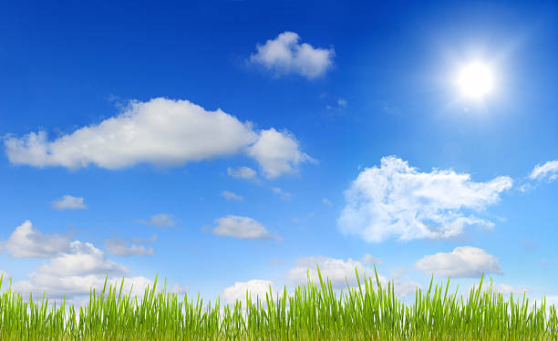 istock Panorama of sky sun and grass 177321255
