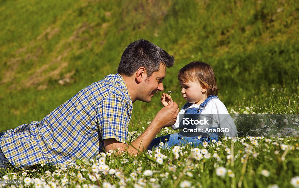 Picking flowers Father and son picking flowers and having fun on meadow 12-17 Months Stock Photo