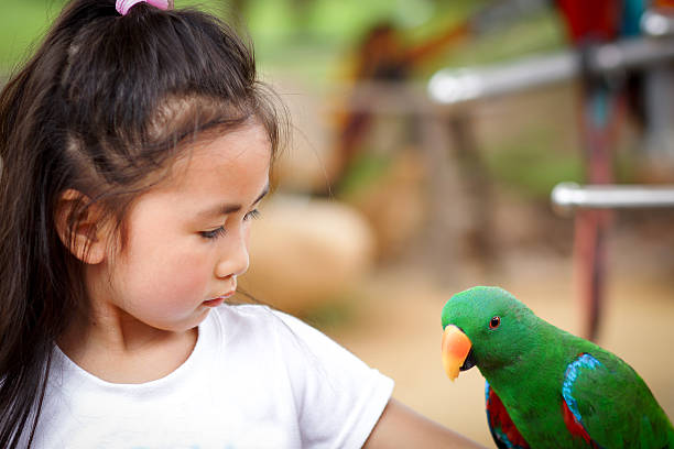 istock cute little girl and parrot 177321780