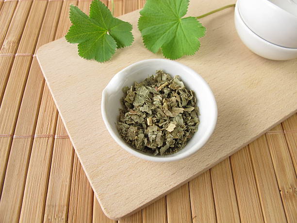 istock Lady's mantle, Alchemillae herba 177322442