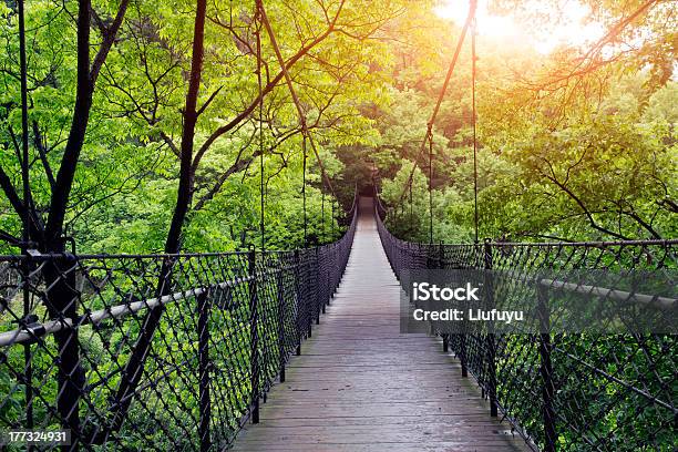 Bridge Stockfoto und mehr Bilder von Bauholz-Brett - Bauholz-Brett, Baum, Berg