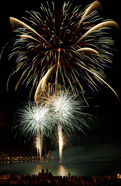 istock Brightly colorful fireworks  in the night sky 177325279