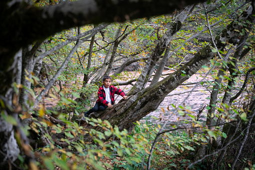A boy is having fun in the forest in Bolu Yedigöller National Park. During the autumn season, he can stay in touch with nature among the deciduous trees. Taken in daylight with a full frame camera.