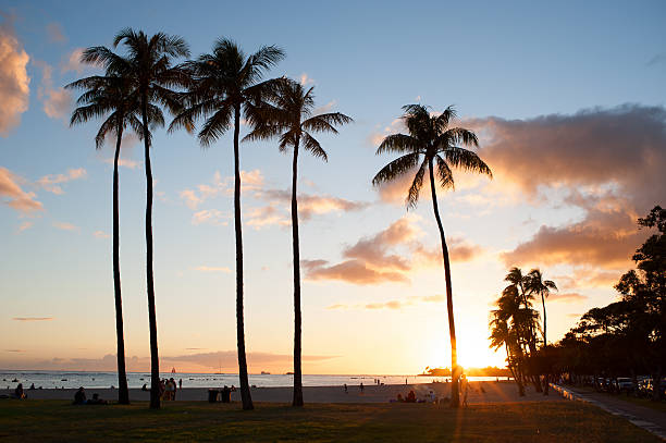 Hawaii stock photo