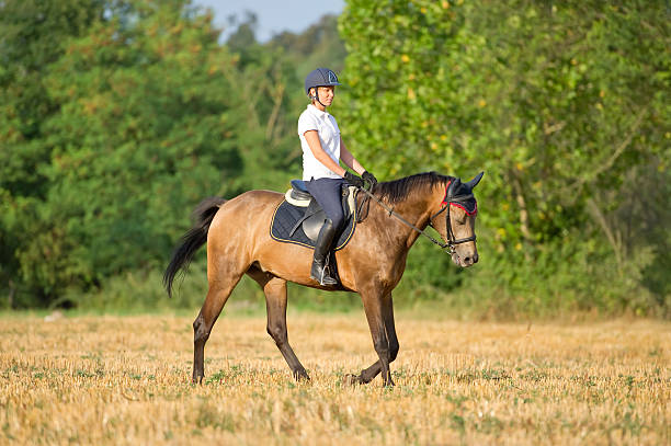 istock Woman on horseback 177327973