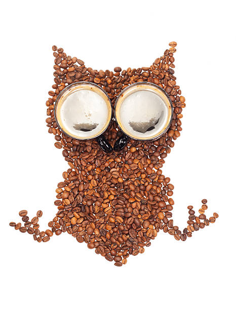 istock Owl from the corns of coffee 177328851