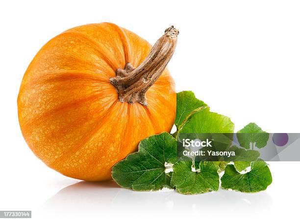 Yellow Pumpkin Vegetable With Green Leaves Stock Photo - Download Image Now - Pumpkin, Leaf, Gourd