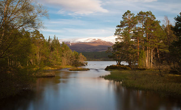 istock Loch Morlich in the evening sun 177330463