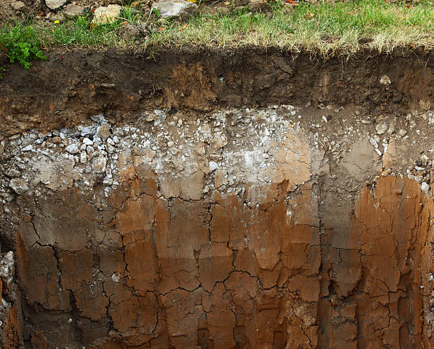 Image of underground soil layers stock photo