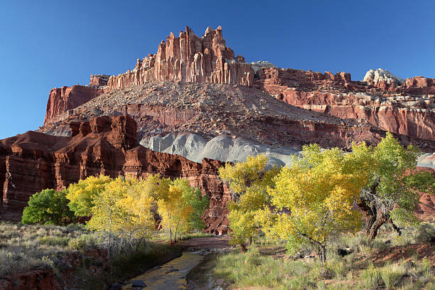 istock Fall Cotton Wood Trees, Capital Reef NP 177330915