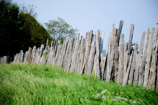 Old wood fence on green meadow
